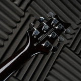 PRS SE DGT David Grissom Tremolo Signature 2023 - Present - Gold Top | Tonebay