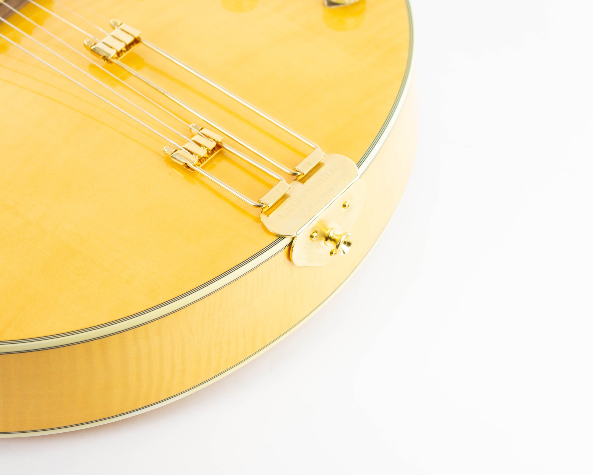 Epiphone Zephyr Blues Deluxe 1999 Natural | Tonebay