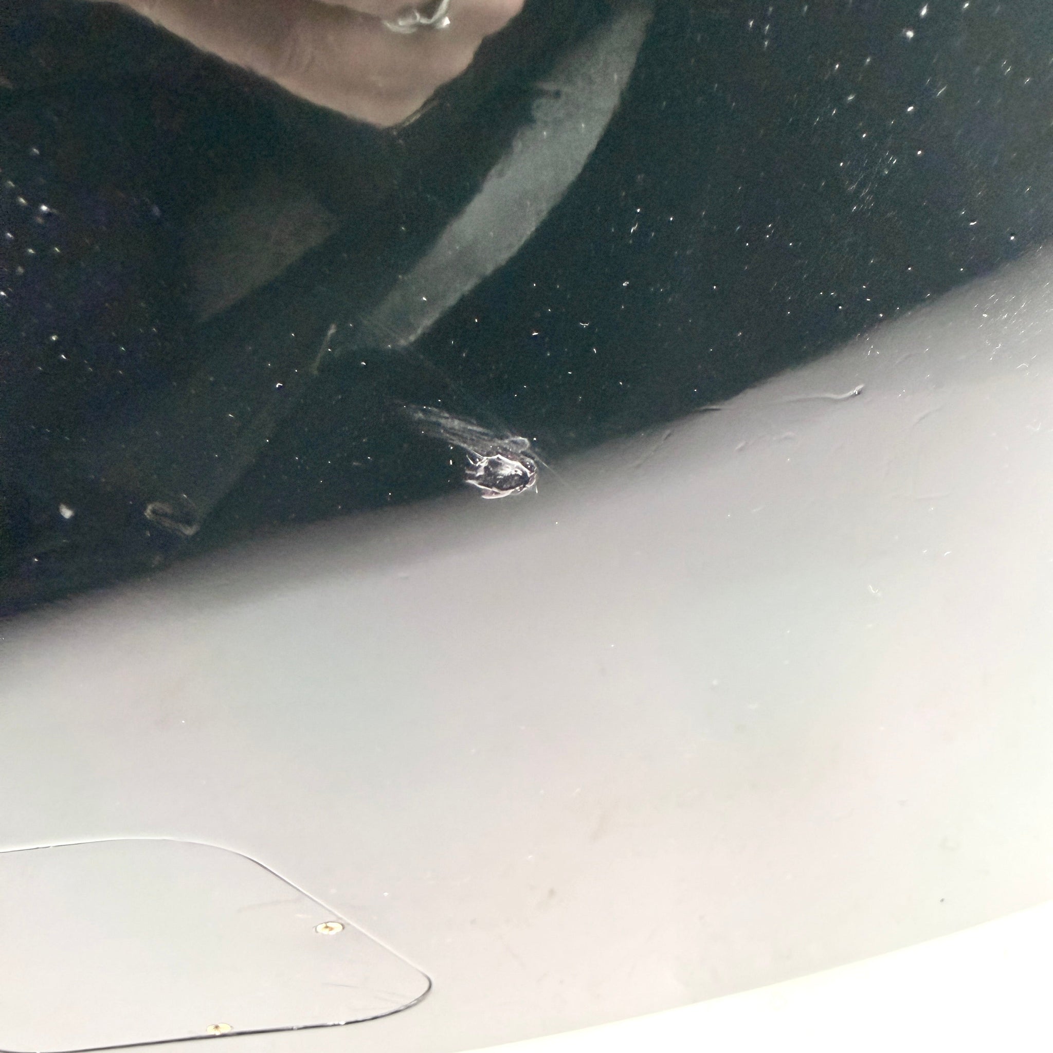 2012 Gibson Limited Edition Les Paul Custom – Green Widow | Tonebay