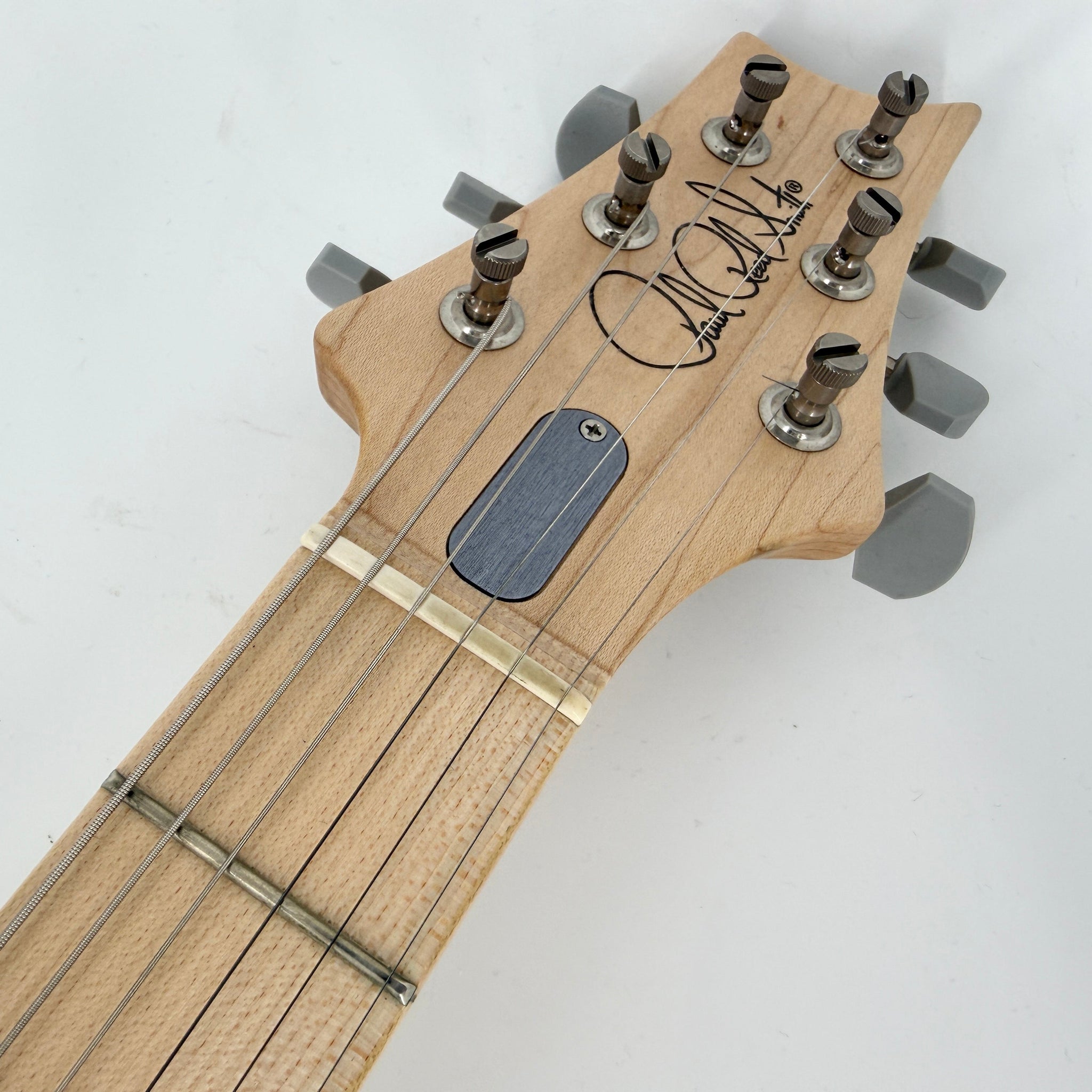 2021 PRS Limited Edition Silver Sky John Mayer Signature - Lunar Ice | Tonebay