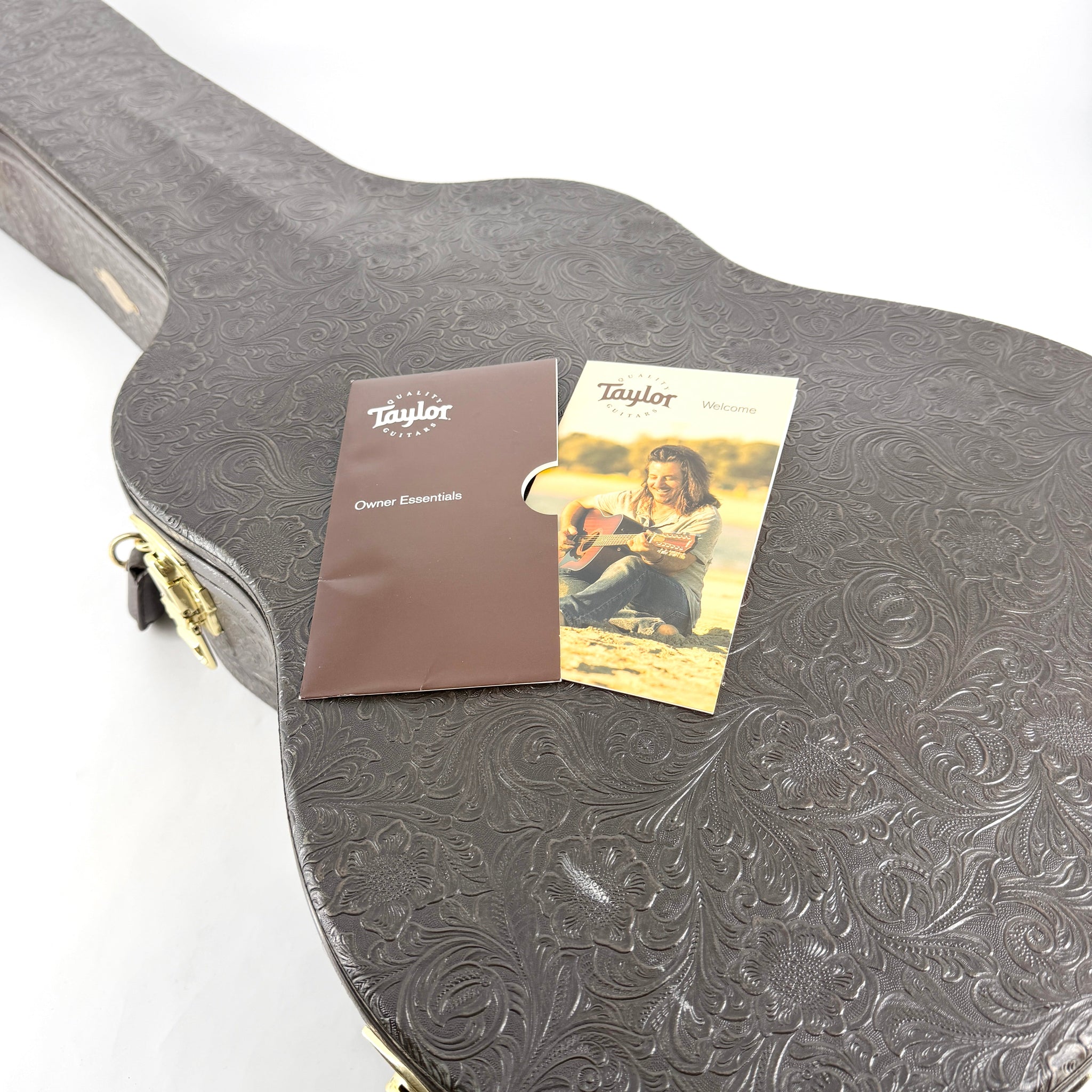 2019 Taylor Grand Pacific 317e V-Class - Natural | Tonebay