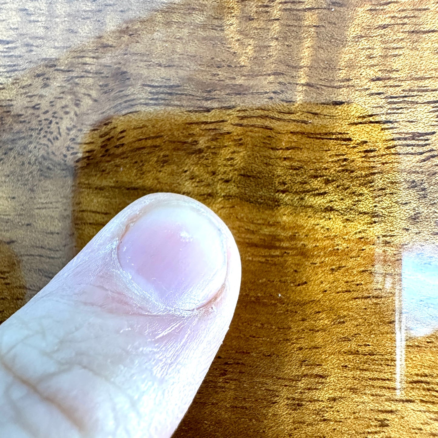 2019 Taylor K22e 12 Fret - Koa | Tonebay