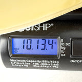 1977 Gibson Les Paul Custom - Alpine White | Tonebay